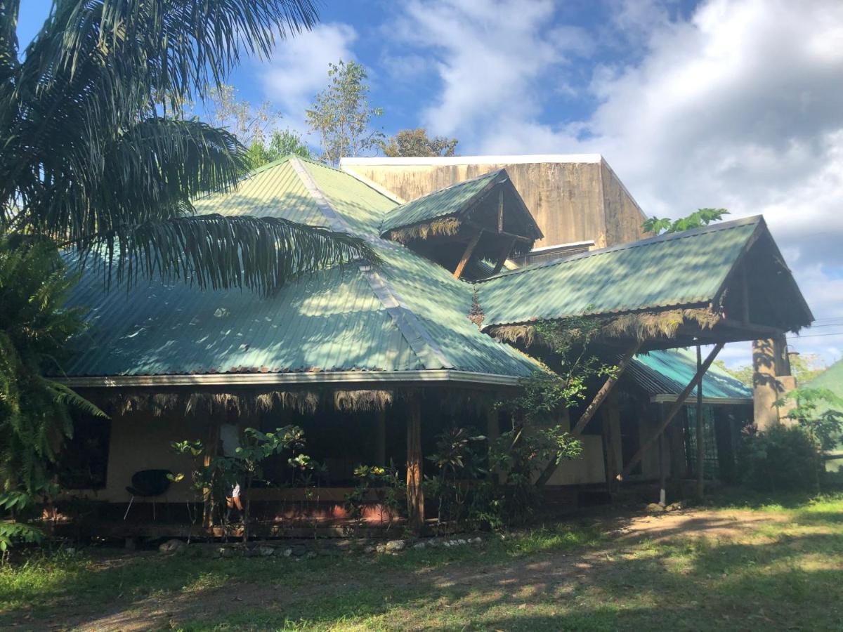 La Palapa Hut Nature Hostel Puerto Jimenez Bagian luar foto